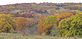 Breathtaking color still covers the entire hillside. Taken today on a county road in Wisconsin. by Dawn Pregler.