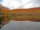 Fall on the Ramapo river. Taken 10-16 New Jersey by John Maas.