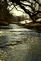 tiny waterfalls on an unknown creek . Taken 3/13/11 Elizabeth , IL  by Steven Schleuning .