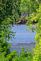 Looking through the tunnel of green . Taken 8-8-2010 Dubuque Iowa by steven schleuning  .