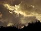 Dead Elm against Turbulent Sky. Taken 7-24-2009 @ 7:27:26pm  after the storm. Looking North from my  yard by Juanita.