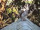 squirrel eating a nut. Taken 04/11/2010 on porch roof by myself.