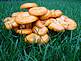 Orange Mushrooms by Martha Farber of Dubuque