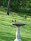 Robin bathing in the bird bath