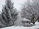 Terrell Ridge subdivision is one of the highest in the county. Taken Jan. 22nd 2010 Whitetop Road intersection by Mike Waddick.