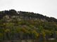 Fall Trees on the Bluffs of the Mississippi River. Taken 10/17/2008 Mississippi River by Peggy Driscoll.