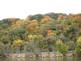 Fall trees and the bluffs by Peg