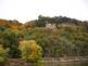 Fall trees and the Mississippi River Bluffs