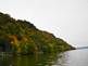 Fall trees and the Mississippi By Peg