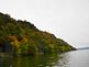 Fall Trees from the River. Taken 10/17/2008 Mississippi River near Dubuque Iowa by Peggy Driscoll.