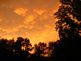 Orange sunset . Taken 7-24-09 Backyard by Peggy Driscoll.