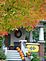 Autmn colors. Taken Oct. 2009 Rice Lake, WI by Linda Hatcher.