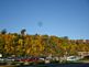 Trees changing colors. Taken 10-18-09 Dubuque Iowa by Peggy Driscoll.