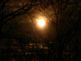 Full Moon. Taken 11-2-09 backyard by Peggy Driscoll.