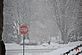 snow. Taken Dec. 11 2010 Atlantic St and Loras blvd. by Mark Chapman.