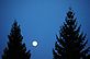 The moon rises between two evergreens. Taken in late fall at Loras College by Beth Jenn.