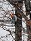 Red-bellied woodpecker. Taken January 30 at backyard feeder by Charmayne McMurray.