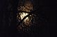 Moon through the trees. Taken 2-16-11 Backyard by Peggy Driscoll.
