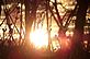 Sunset in the Spring. Taken 4-5-11 Dubuque by Peggy Driscoll.