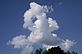 Clouds take many shapes on sunny day. Taken 7-8-11 Backyard by Peggy Driscoll.