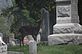 Deer watching while we put flowers on Graves. Taken 5-10-11 Platteville  by Peggy Driscoll.