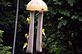 Finches feeding on feeder. Taken 7-3-11 Backyard by Peggy Driscoll.