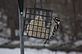 Woodpecker enjoying the Bird Food on a Cold Winter Day.. Taken 1-5-11 Backyard by Peggy Driscoll.