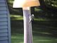 Bird feeding on feeder. Taken 8-22-10 Backyard by Peggy Driscoll.