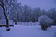 The Garden is Frosty but the flowers will be ready as the warm spring air will soon be near.. Taken 2-24-12 Backyard by Peggy Driscoll.