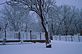 Snowy yard and relaxing with a hot cup of coffee. Taken 2-23-12 Backyard by Peggy Driscoll.