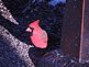 A Cardinal peeking out from under a bench. Taken 12/11/2012 in my front yard by Stephanie Beck.