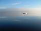 Troop 48 Scouts paddling on a foggy morning during a High Adventure trip. Taken June 11th, on Ima Lake in the Boundary Waters of Minnesota, by Dave Roling.