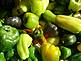 Assortment of Peppers at the Farmers Market