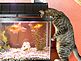 alex checking out fishing conditions.. Taken march, 2011 farley,ia by janice welter.