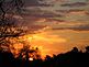 Sunrise. Taken 11/6/2009 from my front yard by Debbie.