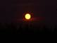 Moon Rising over cornfield outside Cascade, Iowa