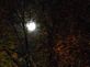 A full moon taken through trees. Taken last full moon Hillcrest Rd by DJMc.