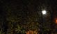 A full moon through trees. Taken last full moon @ 1030 at night Hillcrest Rd by DJMc.