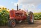 A tractor surrounded by sunflowers. Taken in September in Belle Plaine, Iowa by Lorlee Servin.