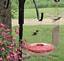 Hummingbird. Taken June 16, 2009 My yard in rural East Dubuque by Jody Bradley.