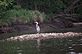 Great Blue Heron on the Mississippi River. Taken 5-25-12 Mississippi River by Peggy Driscoll.