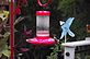 two hummingbirds at war over the hummingbird feeder. Taken 9-5-12 Backyard by Peggy Driscoll.
