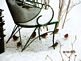 A flock of birds searching thru the snow for seeds. Taken February 3rd In my back yard by Sally Mihalakis.