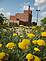 Flowers outside star brewery