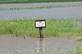 Floodwaters, facing west on Kildeer Ave. towards the Conard Environmental Research 
Area in Richland Township, Jasper County, IA on June 12, 2008 