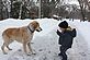 son eli and dog scout. Taken earlier this winter at eagle point park by dan mulligan.