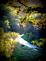 Sunlit Valley. Taken 9/8/2012 Whitewater Canyon near Cascade by Laurie Helling.