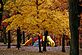 Fall Foliage. Taken Oct 2009 Eagle Point Park by Lori.