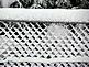 Snow Fence. Taken December 20, 2012 Dubuque Ia by Laurie Helling.