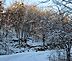 Holiday Road. Taken December 25, 2012 Near Durango Iowa by Laurie Helling.